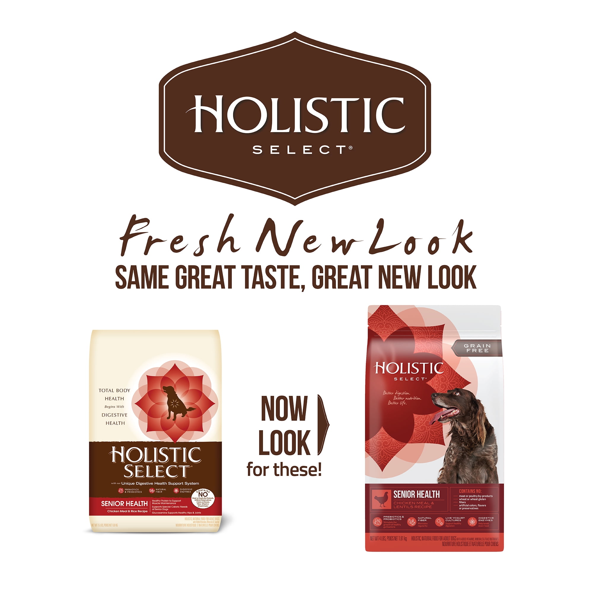 Holistic select grain free dog food online