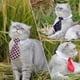thumbnail image 5 of 4 piezas de pajarita para mascotas, perros y gatos, disfraz para mascotas, corbata formal ajustable, collar para gatos y perros, accesorios de aseo, 5 of 5