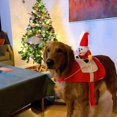 thumbnail image 2 of Ropa de Papá Noel para perros y gatos YONGSHENG suave y cálida, 2 of 5