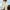 Beige, variant on Oversized Cardigans For Women Clearance Elegant Lightweight Sweater Fall Long Sleeve Solid With Pockets Cardigan Pink L