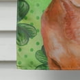 thumbnail image 4 of Carolines Treasures BB9881CHF Red Dachshund St Patricks Flag Canvas House Size  Large multicolor, 4 of 4