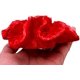thumbnail image 2 of Acuario Pecera Decoración Resina Decoración Grupo Rojo Coral Imitación Coral Decración Pecera Ornamental Coral Artificial Plantas Marinas para Peces Paisajismo JFHHH pequeña, 2 of 4