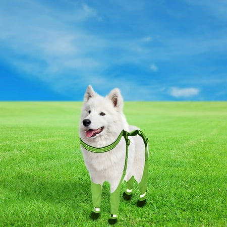 Fasiaou Dog Shoes  Dog Boots for Large Dogs  Waterproof Dog Booties Paw Protector for Summer Hot Pavement  Winter Snowy Day  Outdoor Walking  Indoor Hardfloors Anti Slip Sole Green Size M