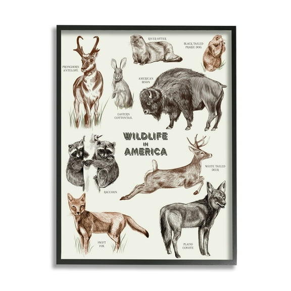 Stupell Industries Wildlife In America Various Animals Detailed Illustrations Chart Framed Wall Art, 24 x 30, Design by Lil' Rue