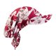 thumbnail image 1 of Visera ancha, para la cabeza, sombrero con visera transpirable para exteriores, playa, y ciclismo. Rojo, 1 of 8