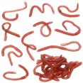 thumbnail image 1 of 10 Pcs Simulation Earthworms Tricky Toys Artificial Earthworms Simulation Toys Models, 1 of 8