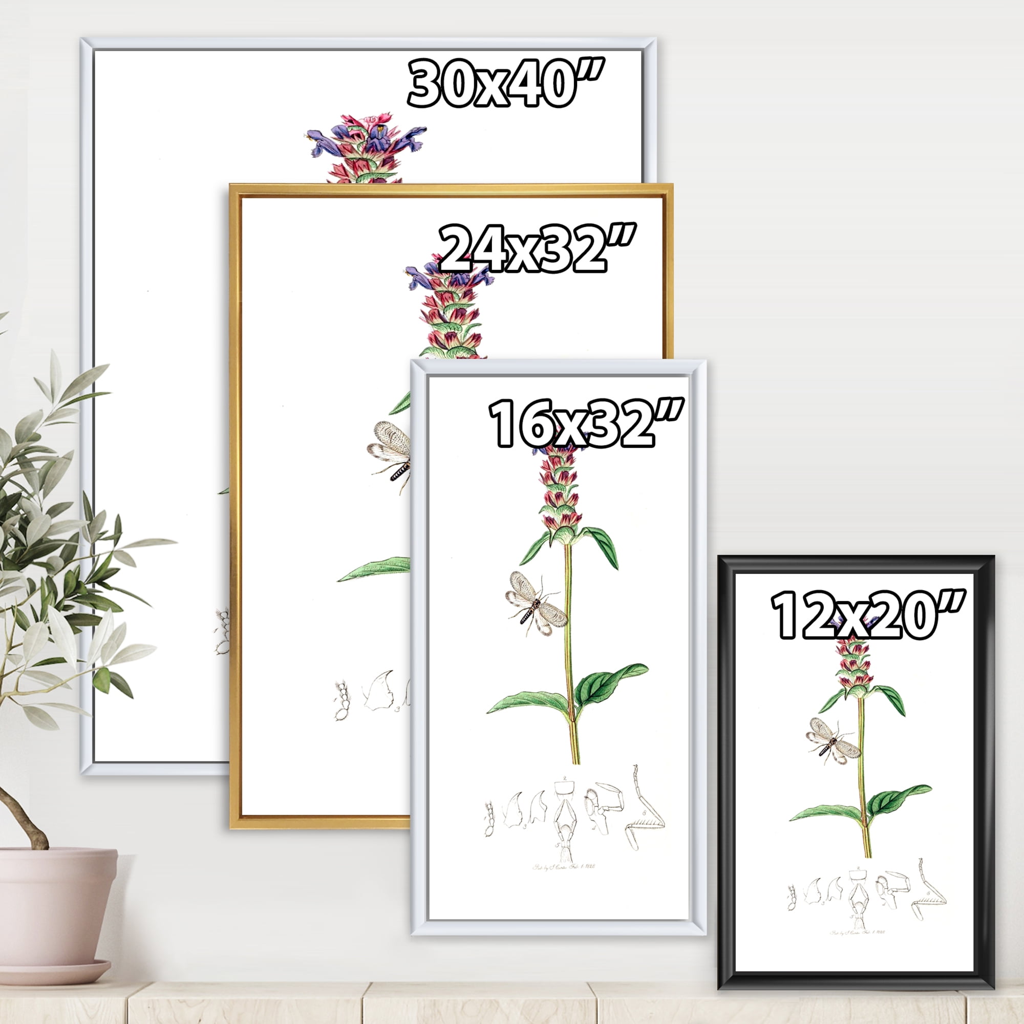 Designart 'Ancient Insects and Plants II' Farmhouse Framed Canvas Wall Art Print