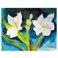 thumbnail image 1 of Betsy Drake PM1139 Lys Blancs Set de 4 Tapis de Lieu, 1 of 1