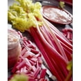 thumbnail image 1 of Bulbes de rhubarbe Tasc – Bulbes de rhubarbe Victoria (plante potagère), 1 of 2