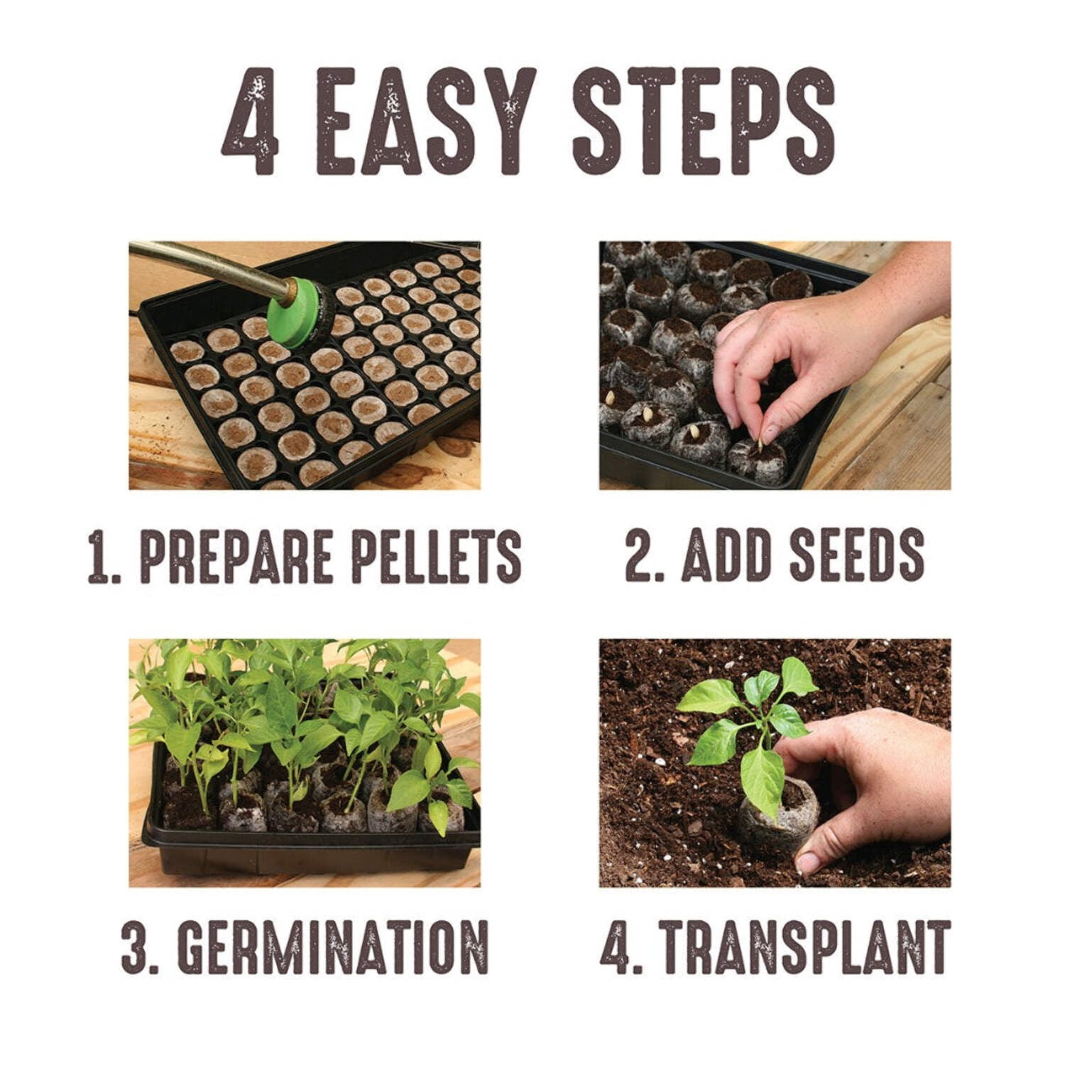 Jiffy 36 Cell Plastic Seed Starting Greenhouse Kit, 36mm Peat Pellets (Pack of 4)