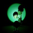 thumbnail image 3 of Sunset Projection Lamp Sunset Light Projector LED Night Light Romantic Visual Ambient Light USB Powered for Living Room Bedroom Studio Decor, 3 of 8