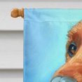 thumbnail image 3 of Carolines Treasures 7314CHF Irish Setter In Blue Flag Canvas House Size, 3 of 4