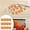 F, variant on Clearance Under $2.1! 12PCS Mini Pumpkin Hanging Ornaments, Fall Thanksgiving Tree Decorations for Home & Party, Plastic, (One Size, F)