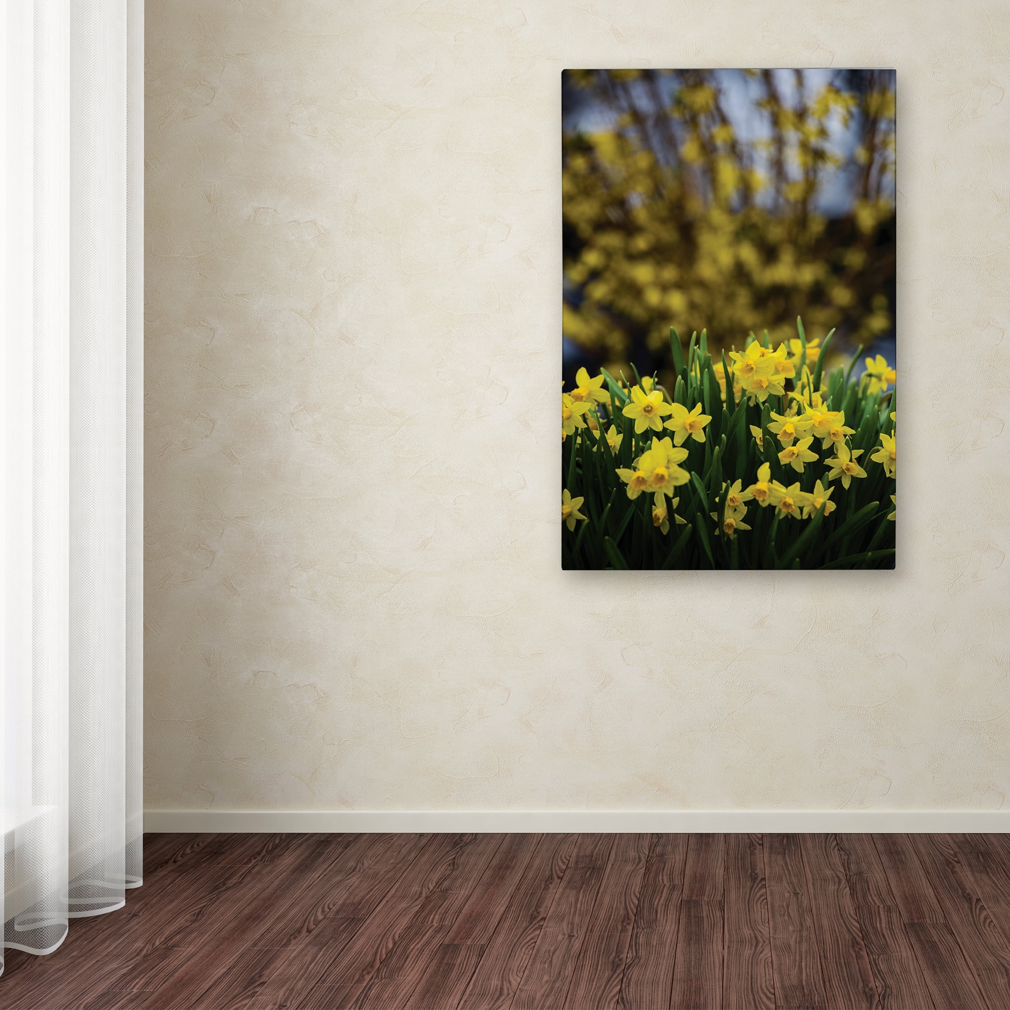 Trademark Fine Art 'Spring is Yellow Daffodils and Fosythia' Canvas Art by Kurt Shaffer