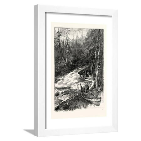 Forest Stream, and Timber Slide, Canada, Nineteenth Century Framed Print Wall