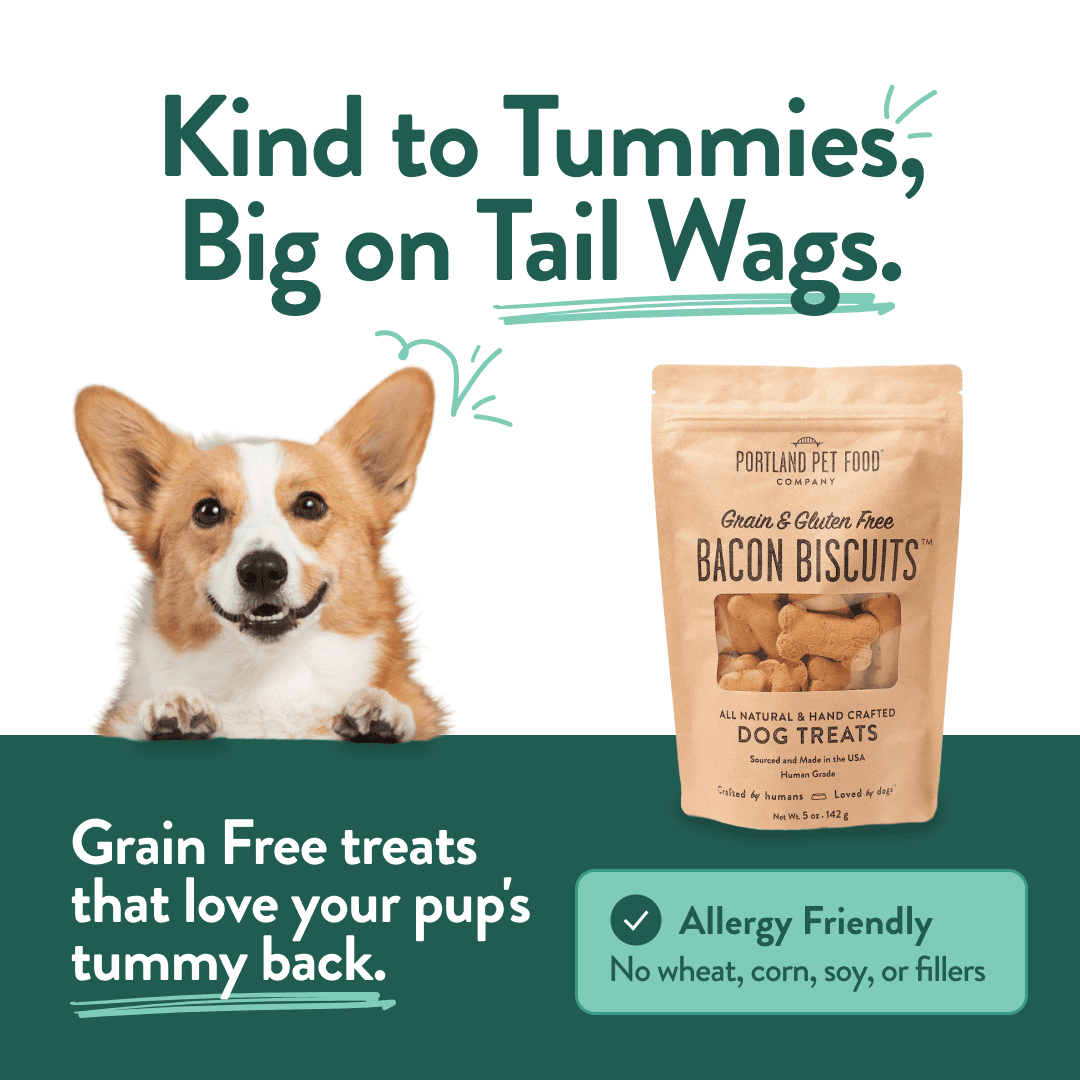 Portland Pet Food Company Bacon Dog Treats Healthy Biscuits for Large Medium & Small Dogs - Grain-Free, Human-Grade, All Natural Cookies, Snacks & Training Treats - Made in The USA - 3 Pack (5 oz)