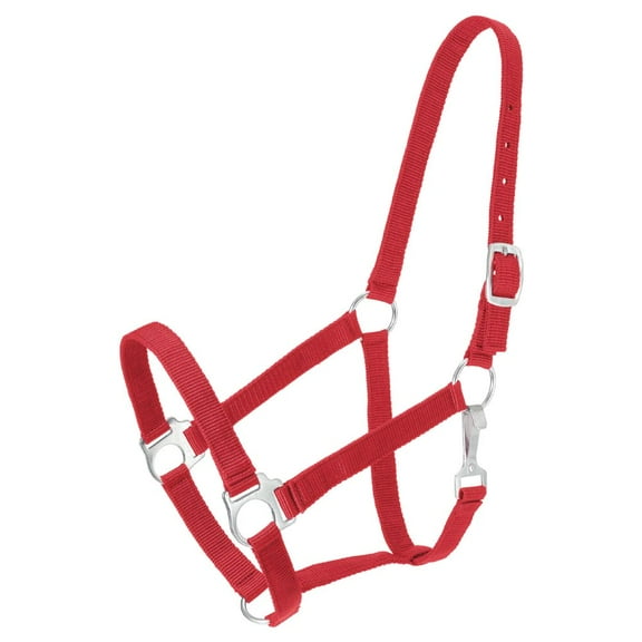 Tough 1 Economy Halter, Red, Pony