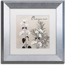 Trademark Fine Art "Flowering Herbs II" Canvas Art by Color Bakery White Matte, Silver Frame