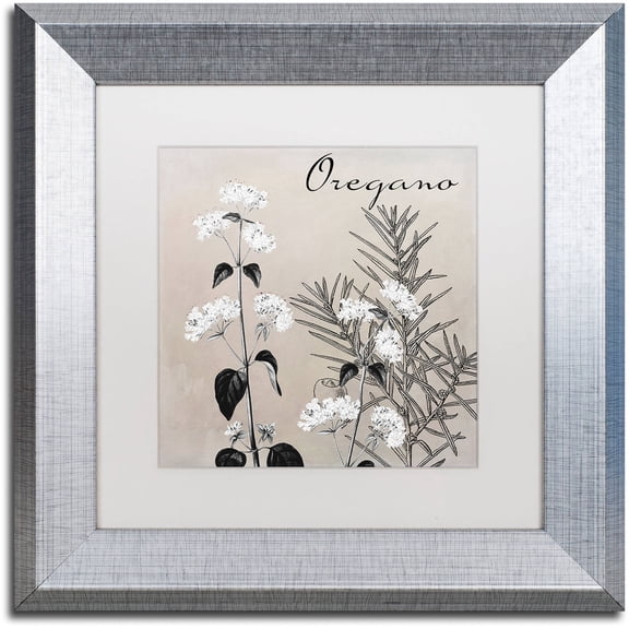 Trademark Fine Art "Flowering Herbs II" Canvas Art by Color Bakery White Matte, Silver Frame
