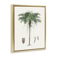 thumbnail image 3 of Stupell Industries Vintage Palm Tree Study Gold Framed Floater Canvas Wall Art design by CAD, 31 x 25, 3 of 9