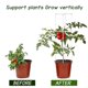 thumbnail image 4 of Enrejado De Jardín Soporte De Planta Enrejado De Vegetales Al Aire Libre Juego De Soporte De Escalada De Plantas Para Plantas Trepadoras Verticales Verduras Flores Frutas Moyic HA034755-00, 4 of 6