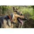 thumbnail image 3 of Pets First NFL Kansas City Chiefs Dog Collar - Heavy-Duty, Durable & Adjustable Football Collar for Dogs/ CATS - Small, 3 of 3