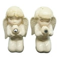 thumbnail image 5 of Ebros Nostalgic Praying Boy And Girl Angels Magnetic Ceramic Salt Pepper Shakers, 5 of 9