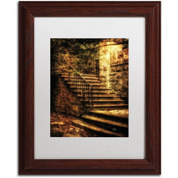 Trademark Fine Art "Abandoned Stone Staircase" Canvas Art by Lois Bryan, White Mat, Wood Frame