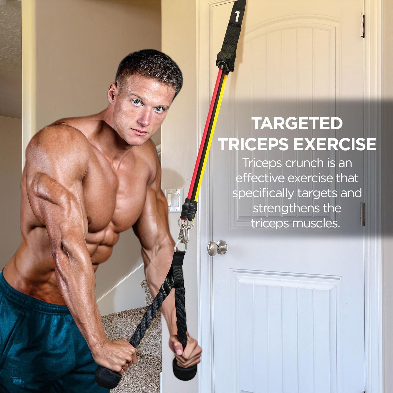 Gym Equipment Triceps Crunch Resistance Bands PurAthletics Tricep