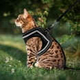 thumbnail image 6 of PUPTECK Breathable Cat Harness and Leash Set - Escape Proof Cat Vest Harness, Reflective Adjustable Soft Mesh Kitty Puppy Harness, Easy Control for Outdoor Walking, 6 of 7