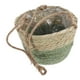 thumbnail image 3 of Cesta colgante tejida para plantas: cesta para plantas en el dormitorio, sala de estar, balcón, decoración exterior, 3 of 7
