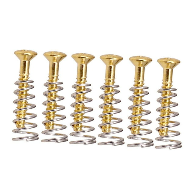 6 Pcs of Set Electric Guitar Pickup Fixing Screws Springs Musical Instrument