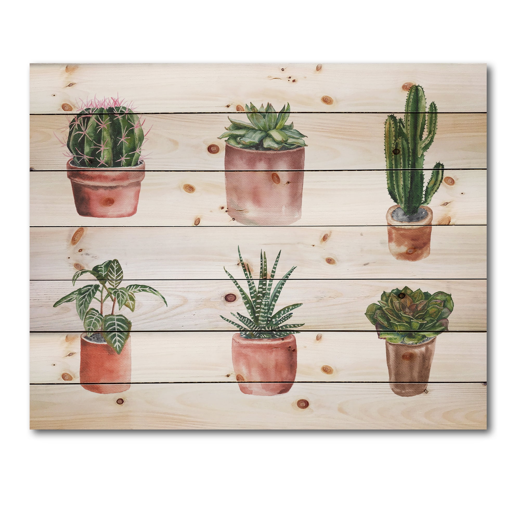 Designart 'Cactus and Succulents In A Clay Pot ' Botanical Print on Natural Pine Wood