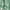 Dotty Foliage Green Notes, variant on Time and Tru Women's Short Sleeve Midi Linen Shirt Dress, Sizes XS-XXXL