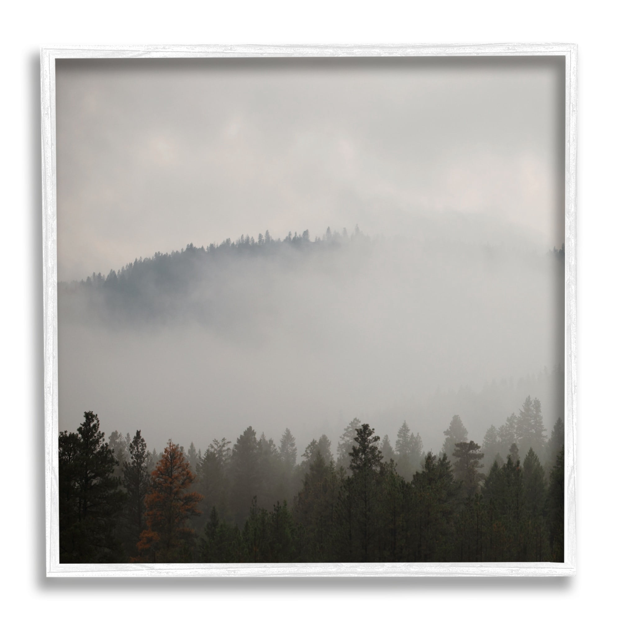 Stupell Industries Misty Mountain Weather Obscured Forest Tree Tops Photograph White Framed Art Print Wall Art, Design by Carol Robinson