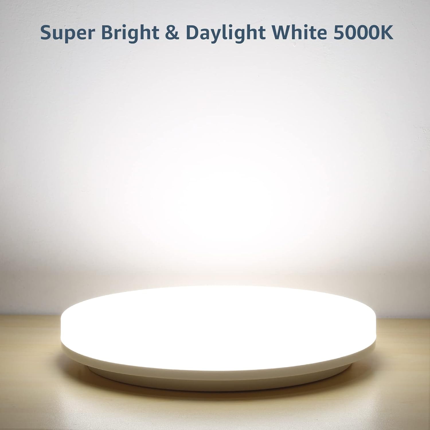 10 inch Ceiling Light Flush Mount, 12W Dimmable LED Ceiling Light Fixture, Drum Light Fixture Ceiling Mount, Modern Ceiling Lights for Living Room, Dining Room, Bedroom, Hotel, Office