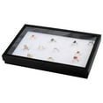 thumbnail image 4 of 2xRings Display Box 36 Slot Con Tapa Transparente Vitrina Para Colgante Blanco Zulema  sostenedor del anillo, 4 of 5
