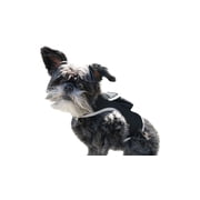Realtime Waterproof Collar GSM GPS Dog Tracking Systems w/ Text Alerts Size:XS