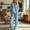 Sky Blue, variant on IUYRTFE Women's V-Neck Short Sleeve Top and Wide Leg Pants Set with Pockets Casual 2 Piece Lounge Outfit