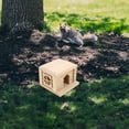 thumbnail image 4 of LIFKOME Hamster Large House Wooden Playhouse Design For Resting And Playing 1Pcs, 4 of 6