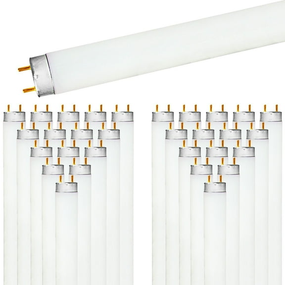 Luxrite (30 Pack) F32T8/865 32W 48 Inch T8 Fluorescent Tube 6500K Daylight 2800 Lumens G13 Medium Bi-Pin Base