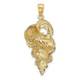 thumbnail image 3 of 14K Yellow Gold Open Back Solid Polished Texture Finish 2-Dimensional Precious Wentletrap Shell Charm Pendant, 3 of 4