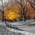 thumbnail image 2 of Great Art Now Park Pretty I by Assaf Frank, Framed Wall Art, 19.5W x 19.5H, 2 of 3