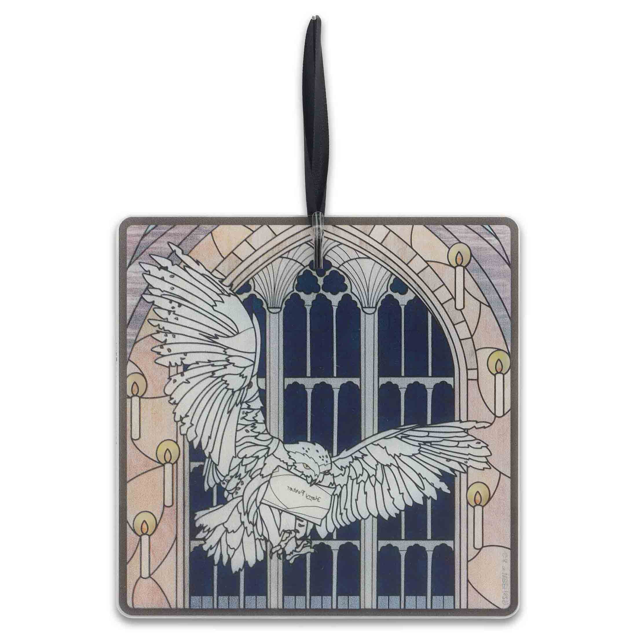 Harry Potter Hedwig Die Cut Acrylic Wall Décor 6"