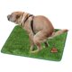 thumbnail image 5 of Inodoro para perros a juego con tapete de césped, inodoro para perros de peluche, inodoro para perros golden retriever con tapete de césped, 5 of 6