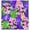 BLACK/PURPLE/FUSHIA, variant on Chiffon Printed Glorified Fabric by the Yard Floral Print Sheer Dress Top Sewing (BLACK/GREEN/AQUA, HalfaYard)