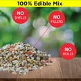 thumbnail image 2 of Lyric Fine Tunes Wild Bird Seed - No Waste Bird Food Mix - Attracts Colorful Wild Birds - Perfect for Your Backyard Feeders - 10 lb. (Pack of 2-5 lb. Bags), 2 of 7