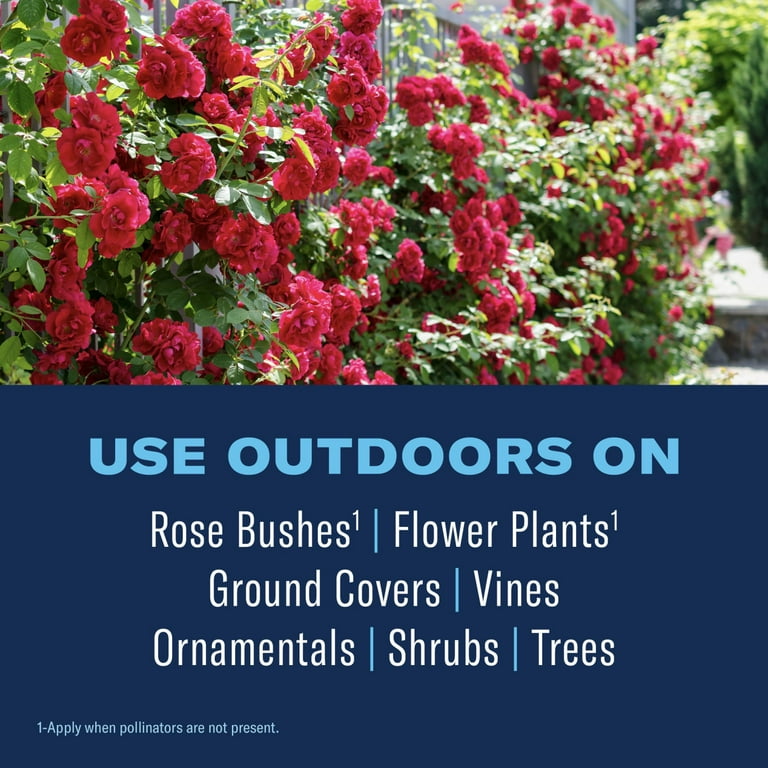 BioAdvanced All-In-One Rose & Flower Plant Care, Ready-To-Use, 1