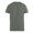 Teal, variant on Duke Mens D555 Signature Kingsize T-Shirt