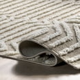 thumbnail image 5 of nuLOOM Briallyn Modern Waves Tassel Area Rug, 4' x 6', Briallyn Beige, 5 of 9